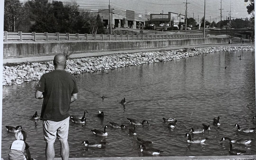 Aimee Miller – Ballard Park Ducks